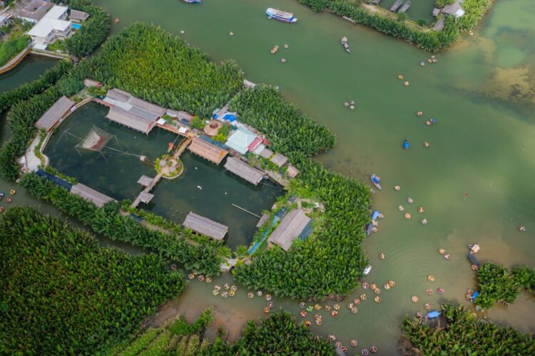 TOÀN CẢNH KHU ECO TOUR THÁI BÌNH TẠI RỪNG DỪA BẢY MẪU HỘI AN. Khu trải nghiệm riêng tại rừng dừa bảy mẫu hội an nhìn từ trên cao