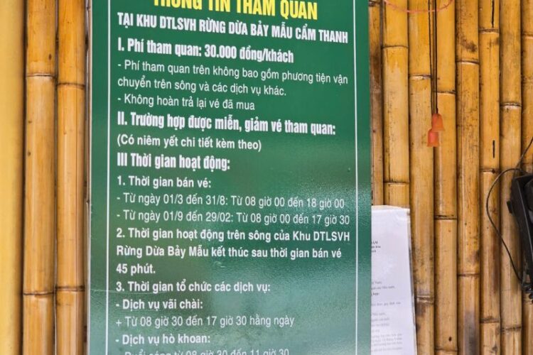 Giá Thuyền Thúng Hội An 2026 ( Mới Nhất )