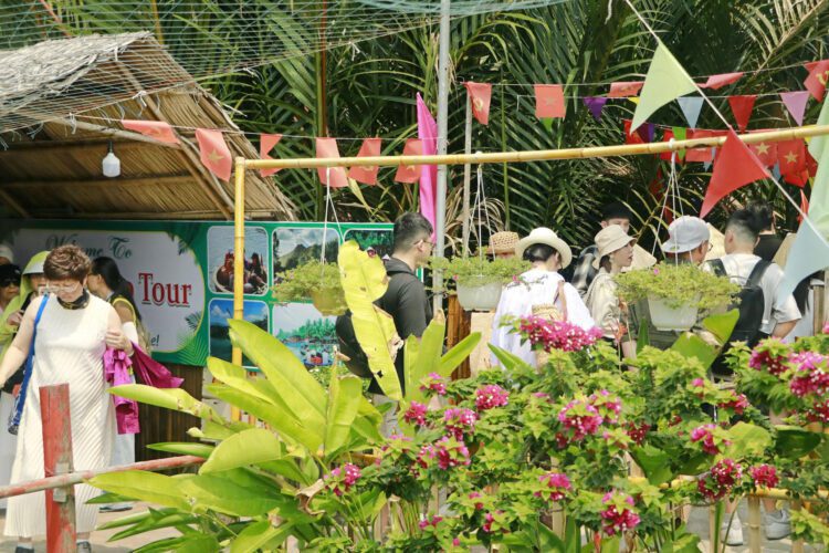 GIÁ THUYỀN THÚNG HỘI AN 2026 ( MỚI NHẤT ) 6 Du khách tham quan và check-in tại eco tour thái bình hội an